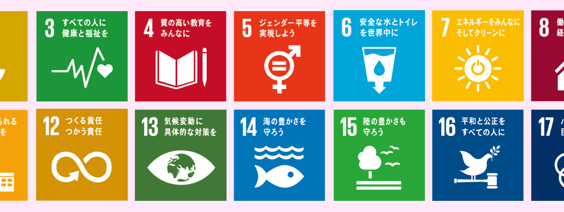 誰でもできるん？SDGs