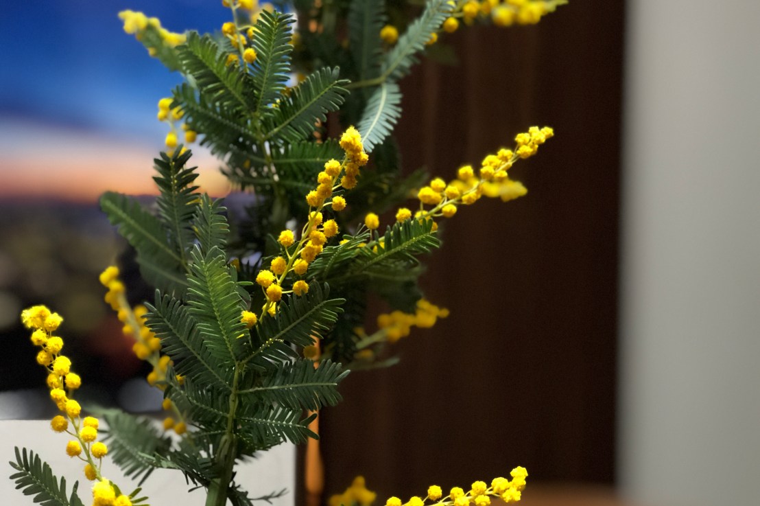 3/8は祝日じゃないけど